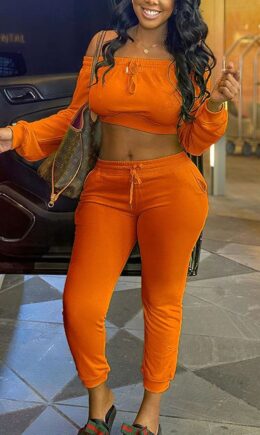 Polyester Fashion Sexy adult Ma'am Solid Two Piece Suits pencil Long Sleeve Two Pieces