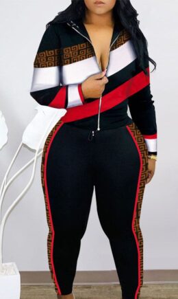 Polyester Fashion Sexy Active Patchwork Print Solid Straight Long Sleeve Two Pieces