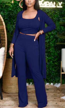 Navy Fashion Casual Adult Solid Conventional Collar Long Sleeve Regular Sleeve Two Pieces