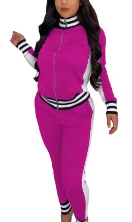 Casual Sportswear Polyester Spandex Cotton Blends Patchwork Solid Split Joint Pants Zipper Collar Long Sleeve Regular Sleeve Regular Two Pieces