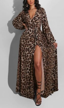 Leopard print British Style Leopard V Neck Long Sleeve Floor Length A Line Dresses