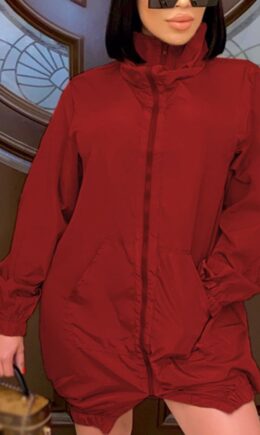 Fashion Casual Adult Polyester Solid Split Joint Turtleneck Long Sleeve Mini A Line Dresses