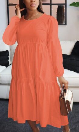 Celebrities Solid O Neck Dresses