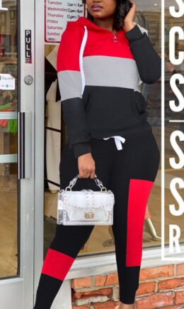 Sportswear Solid Split Joint Hooded Collar Long Sleeve Two Pieces