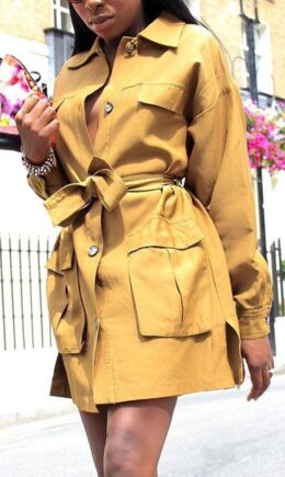 Casual Solid Split Joint Turndown Collar Dresses