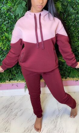 Casual Solid Split Joint Hooded Collar Long Sleeve Two Pieces