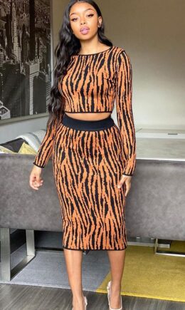 Polyester Sexy Two Piece Suits Patchwork Striped Hip skirt Long Sleeve  Two-Piece Dress