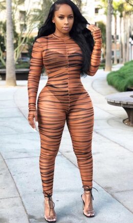 multicolor Sexy Print Network Long Sleeve O Neck  Jumpsuits