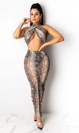 serpentine Polyester Sexy Fashion adult Leopard Two Piece Suits asymmetrical Print  Mesh pencil Sleeveless