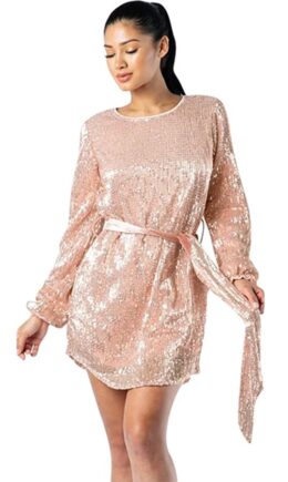 Champagne Acetyl fiber Casual Cap Sleeve Long Sleeves O neck Step Skirt Knee-Length bandage Sequin Solid Patch