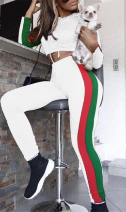 Casual Sportswear Patchwork Basic Hooded Collar Long Sleeve Two Pieces