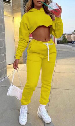 Casual Solid Split Joint Hooded Collar Long Sleeve Regular Sleeve Short Two Pieces