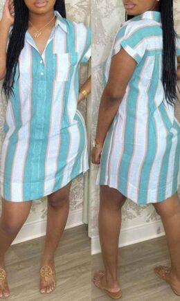 Fashion Casual Striped Print Basic Turndown Collar Shirt Dress