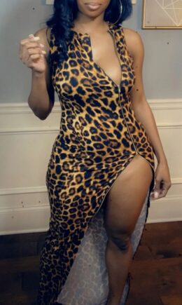 Leopard Print Sexy Print Leopard Asymmetrical Zipper Collar Sleeveless Dress