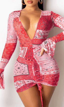 Sexy Print Mesh V Neck Pencil Skirt Dresses