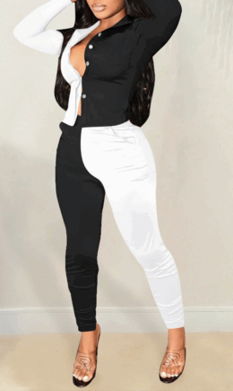 Casual Solid Split Joint Turndown Collar Long Sleeve Two Pieces