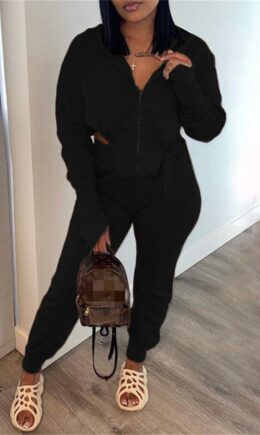 Fashion Casual Solid Asymmetrical Hooded Collar Long Sleeve Two Pieces