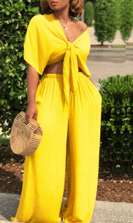 Casual Solid Split Joint V Neck Half Sleeve Two Pieces