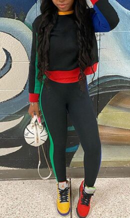 Casual Solid Split Joint O Neck Long Sleeve Two Pieces