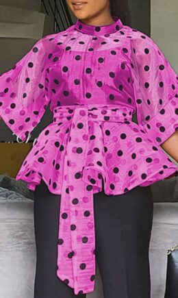 Fashion Dot Print Frenulum See-through Mandarin Collar Tops