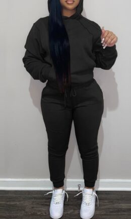 Fashion Casual Solid Basic Hooded Collar Long Sleeve Two Pieces