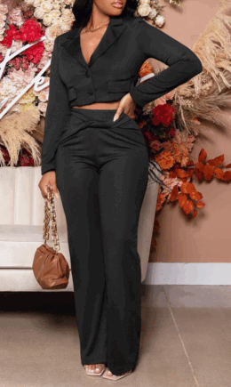 Casual Solid Split Joint Turndown Collar Long Sleeve Two Pieces