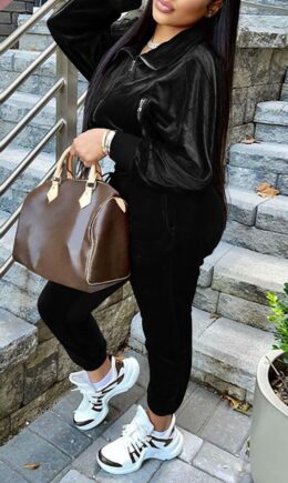Casual Solid Split Joint Zipper Zipper Collar Long Sleeve Two Pieces