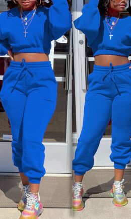 Casual Solid Split Joint O Neck Long Sleeve Two Pieces