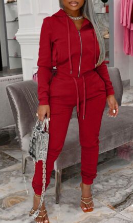Fashion Casual Solid Split Joint Hooded Collar Long Sleeve Two Pieces