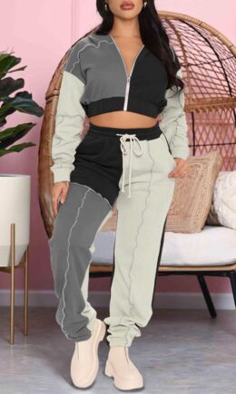 Casual Sportswear Solid Split Joint Zipper Hooded Collar Long Sleeve Two Pieces