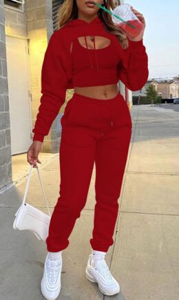 Casual Street Solid Split Joint Hooded Collar Long Sleeve Three Pieces