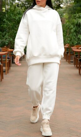 Fashion Casual Solid Basic Hooded Collar Long Sleeve Two Pieces