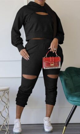 Fashion Casual Solid Ripped Hooded Collar Long Sleeve Two Pieces