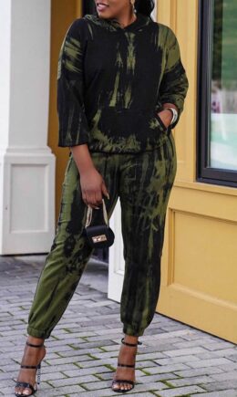 Fashion Casual Print Basic Hooded Collar Long Sleeve Two Pieces