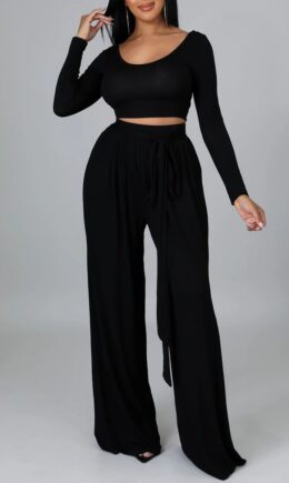 Casual Elegant Solid Bandage Split Joint U Neck Long Sleeve Two Pieces