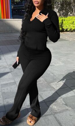 Casual Solid Split Joint V Neck Long Sleeve Two Pieces