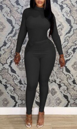 Casual Solid Split Joint O Neck Long Sleeve Two Pieces