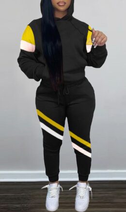 Fashion Casual Patchwork Basic Hooded Collar Long Sleeve Two Pieces