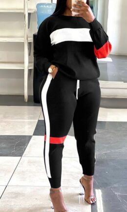 Casual Solid Split Joint O Neck Long Sleeve Two Pieces