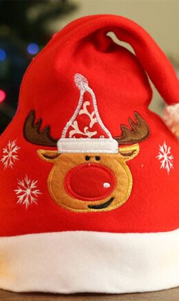 Fashion Patchwork Embroidered Christmas Hat